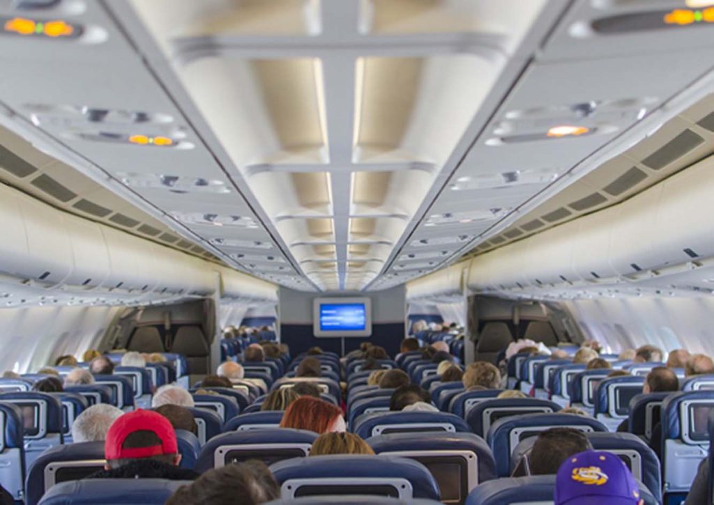 Prendre L’Avion Avec Son Chien: Mes Conseils Pour Voyager Avec !