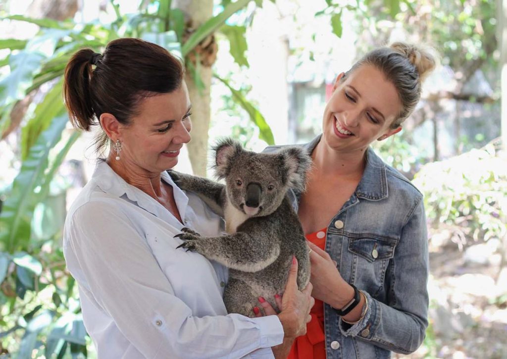 Visiter Le Lone Pine Koala Sanctuary